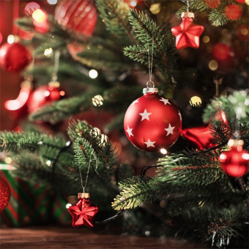 Christmas Day 2025